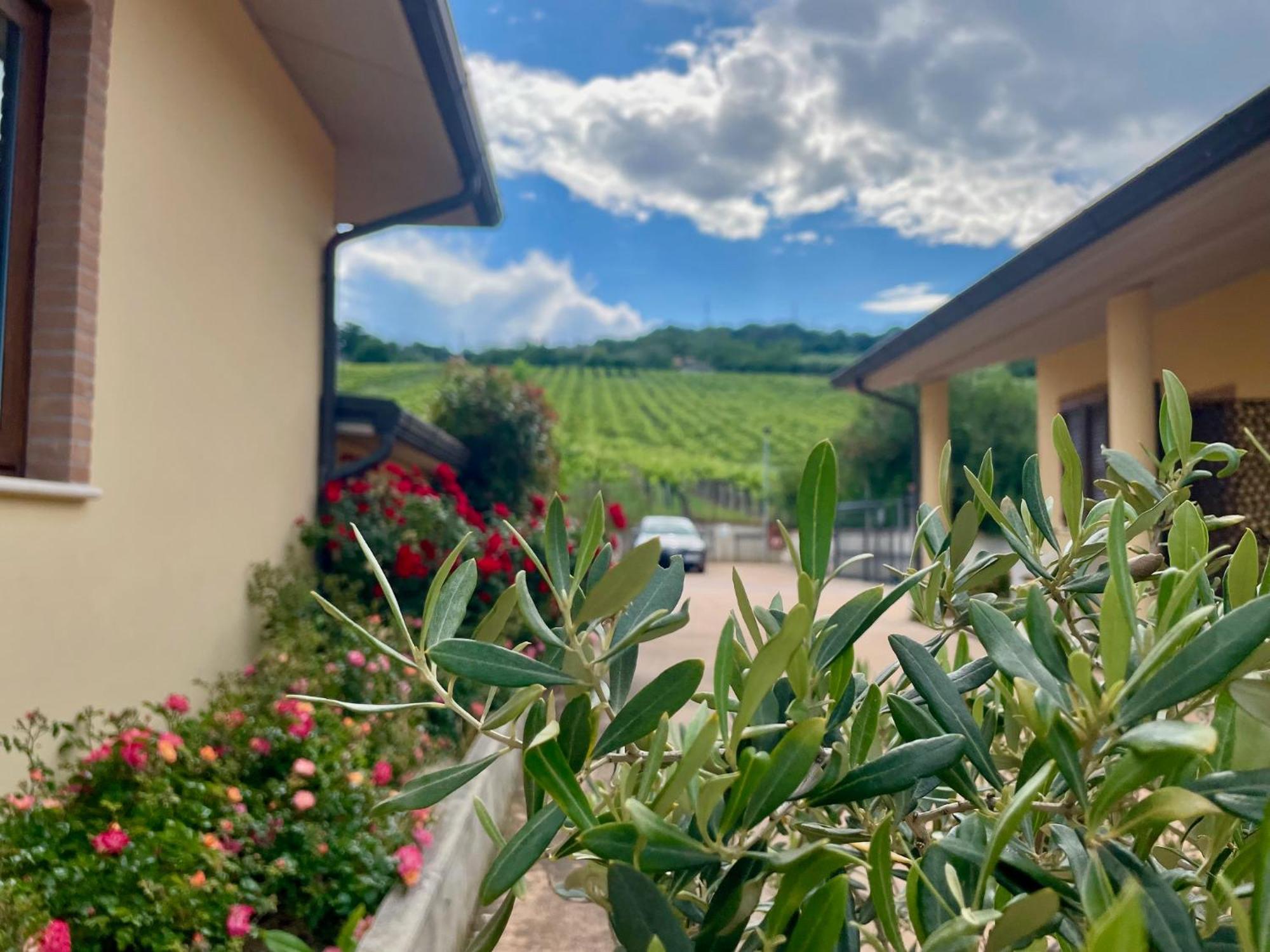 Vigneto - Italian Restaurant & B&B Villa Rosa Di Martinsicuro Kültér fotó