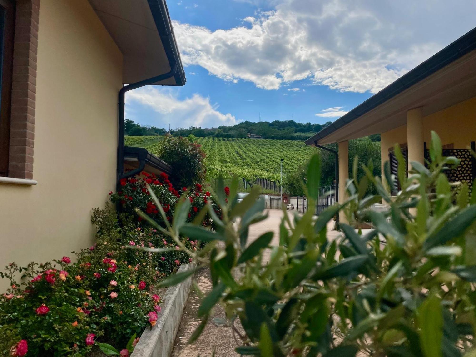 Vigneto - Italian Restaurant & B&B Villa Rosa Di Martinsicuro Kültér fotó